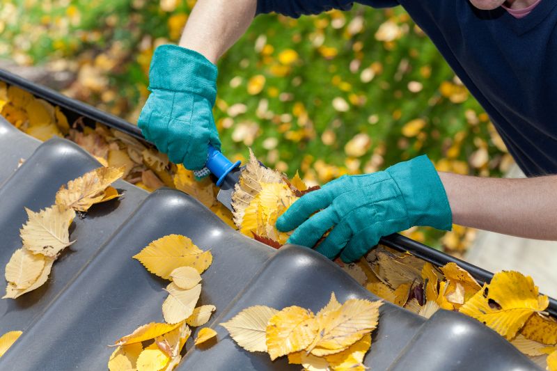 Fall Leaf Prevention